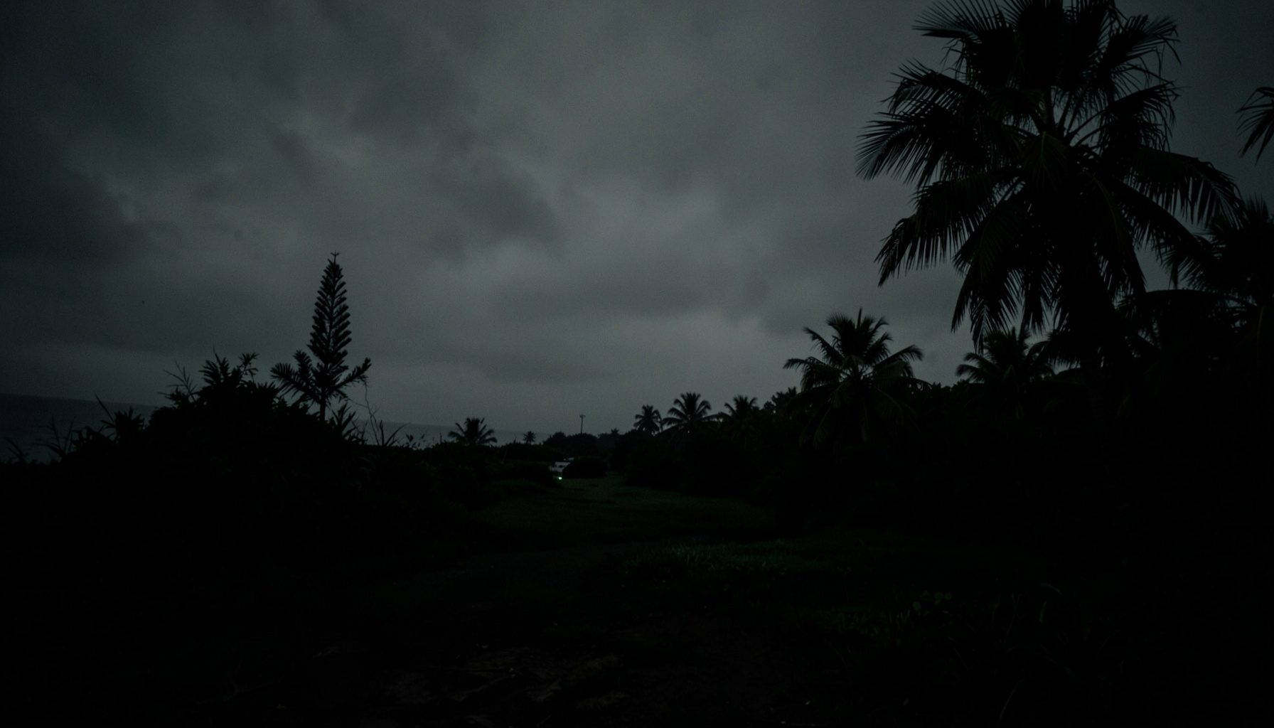 A dark, low-key photograph of a rural coastal landscape with palm trees and overcast sky, quiet and atmospheric